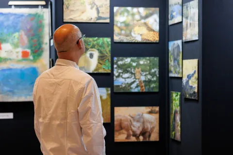 Image mosaïque page SFR